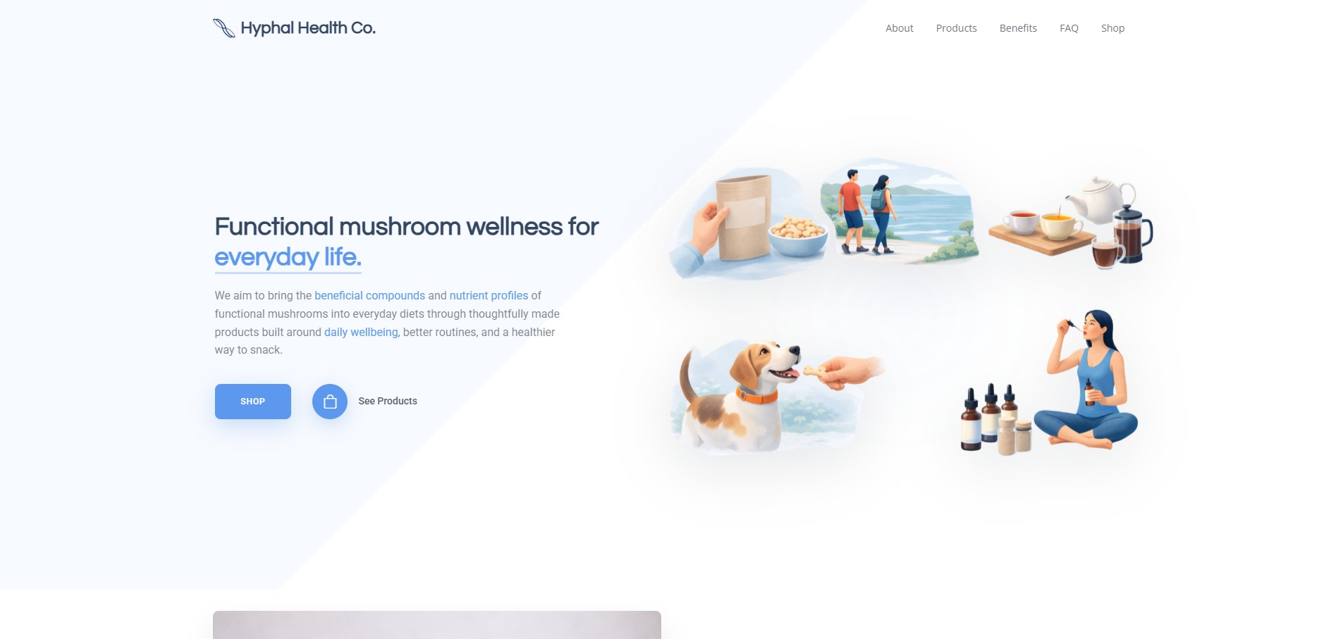 Hyphal Health website screenshot