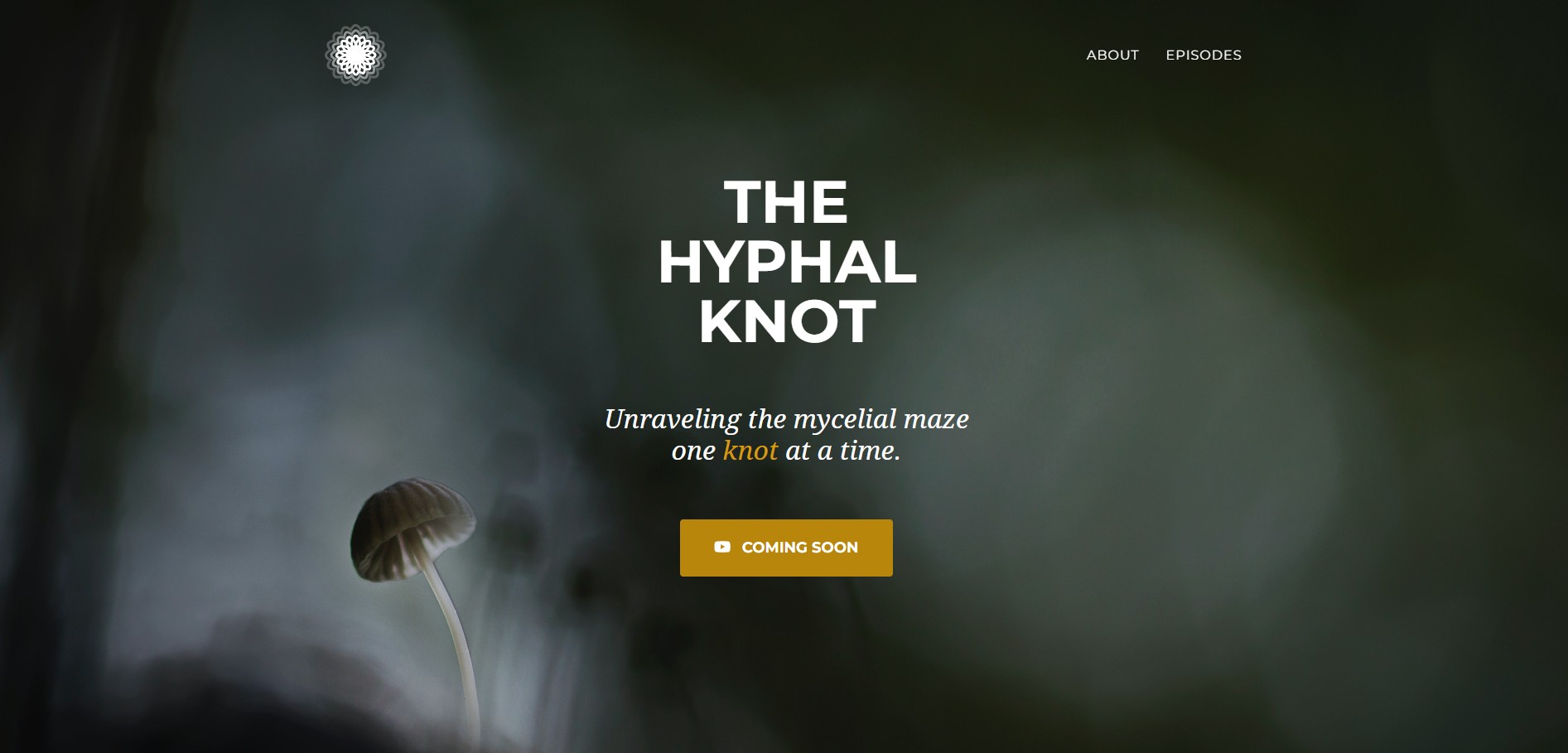 The Hyphal Knot website screenshot